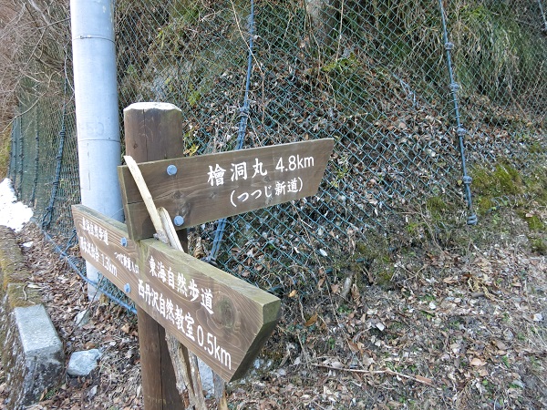 つづじ新道から檜洞丸へ登り