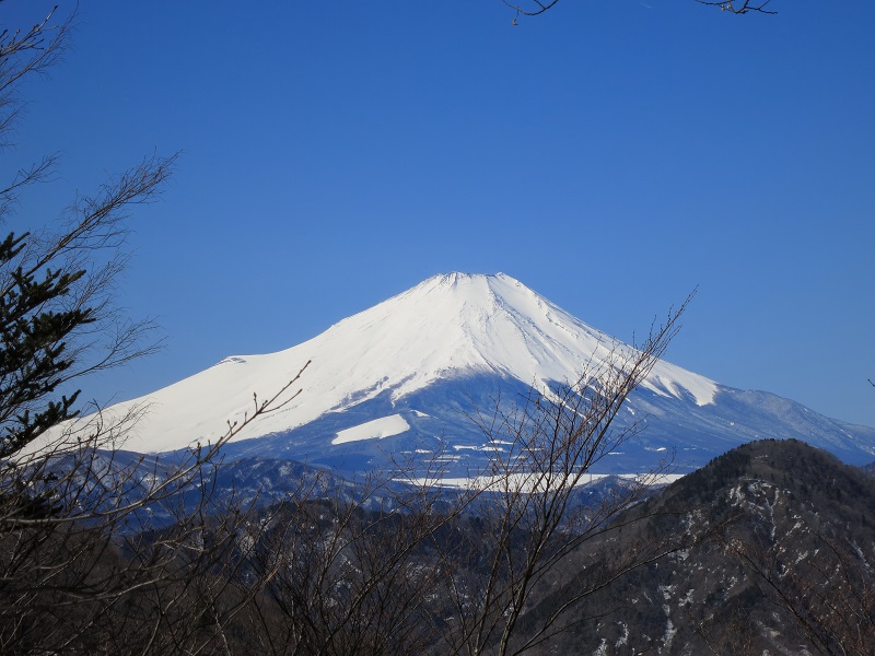 展望園地から見た富士山