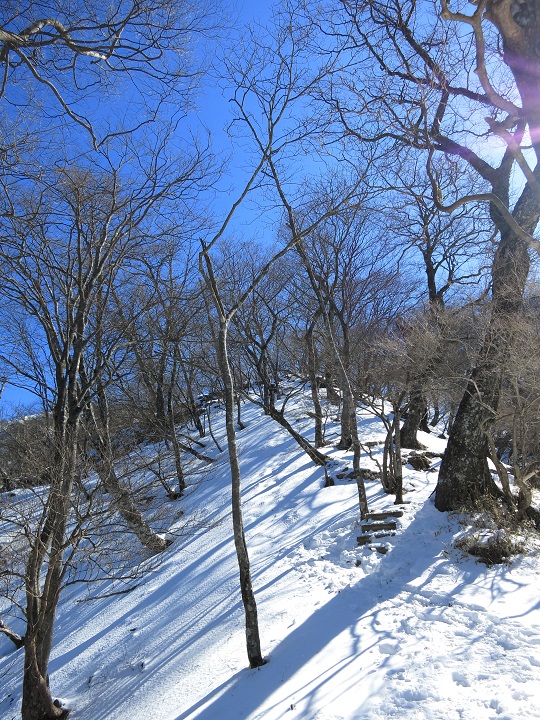 f:id:aohige0718:20170311153210j:plain