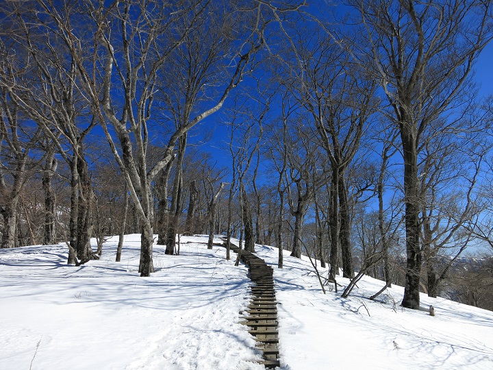 檜洞丸直下の木道