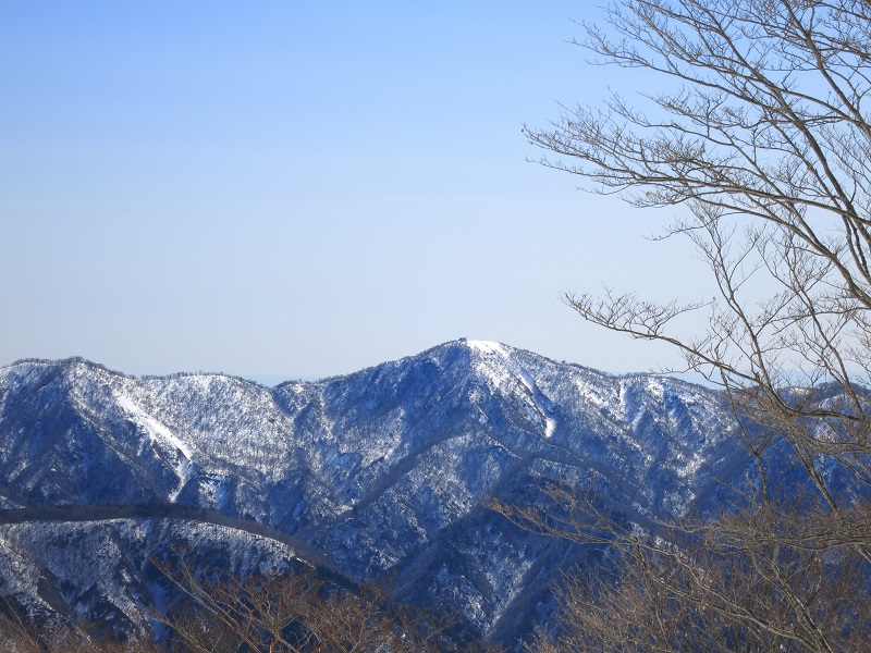 丹沢主稜縦走最後のピークである塔ノ岳