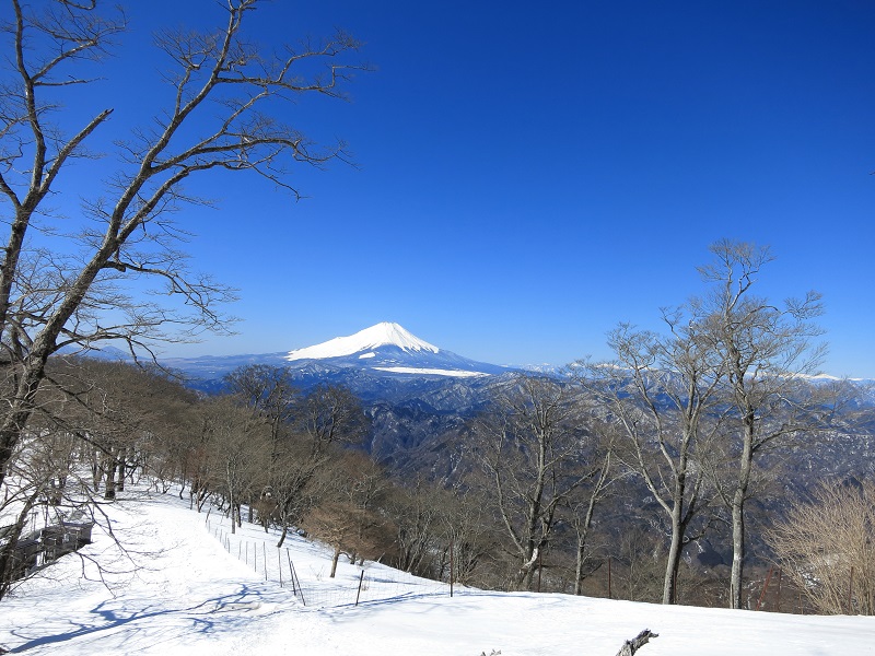 富士山！日本一