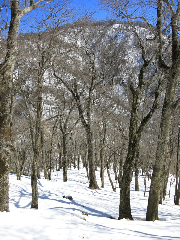 臼ヶ岳がチラチラ見えて