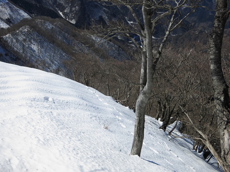 蛭ヶ岳への２本目の鎖場付近