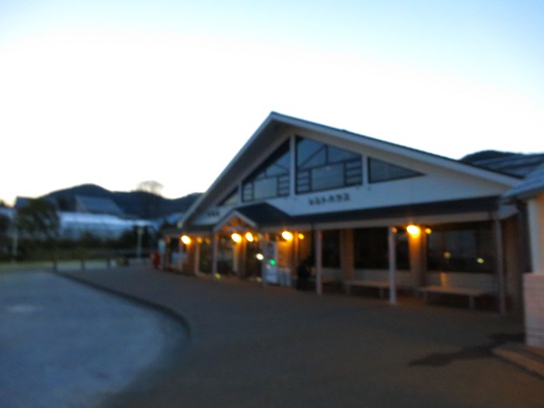 無事に大倉まで下山