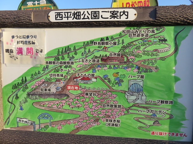 西平畑公園(松田山ﾊｰﾌﾞｶﾞｰﾃﾞﾝ）の園内地図