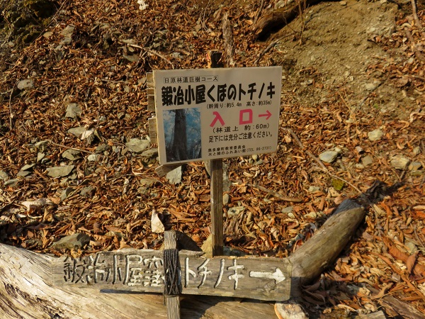 野陣尾根林道歩き