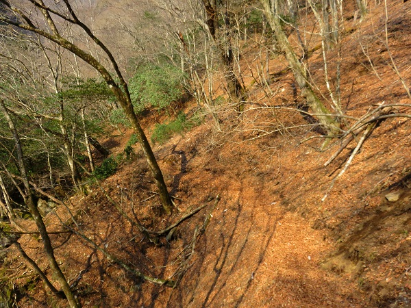 野陣尾根方面登山道ルート