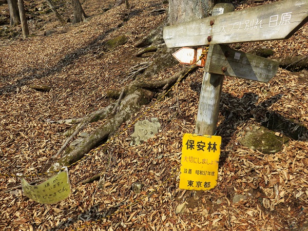 唐松谷尾根と野陣尾根(富田新道)の分岐