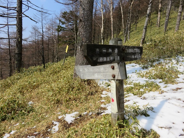 富田新道・奥多摩小屋分岐