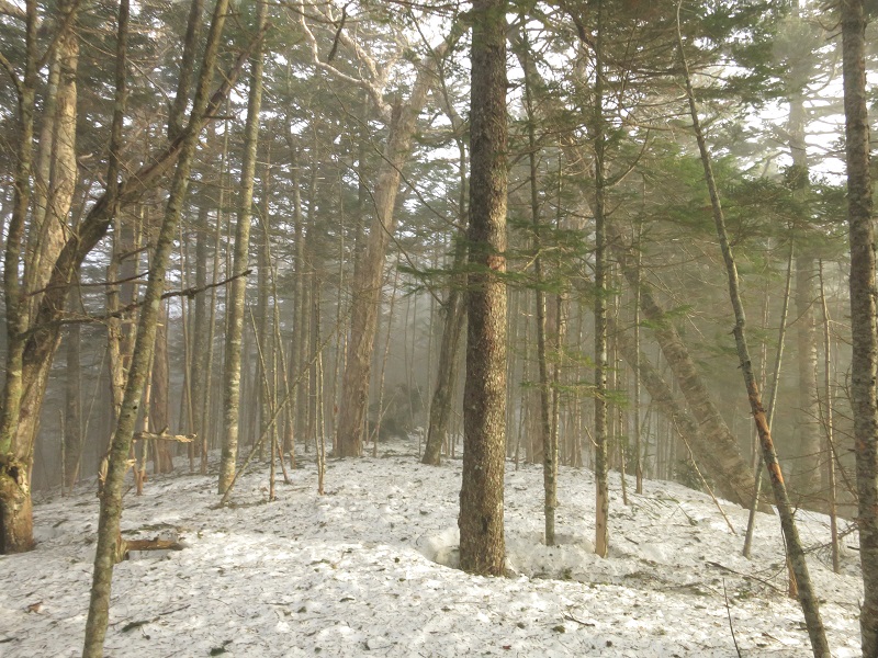 北奥千丈岳・国師ヶ岳幻想的な夜明け