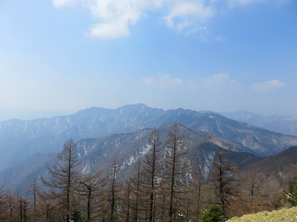 野陣尾根(富田新道)からの富士山