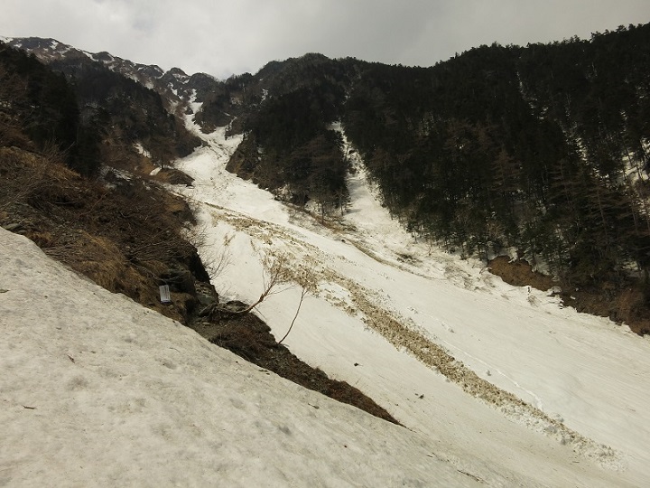 登山中の雪崩の様子