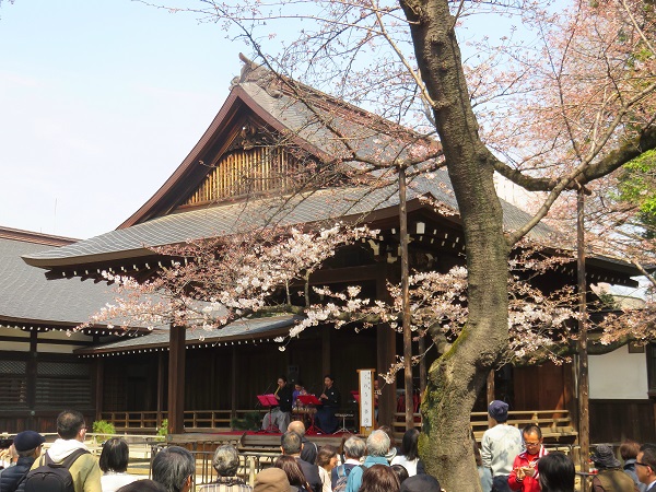 右手に見えているのが桜の木