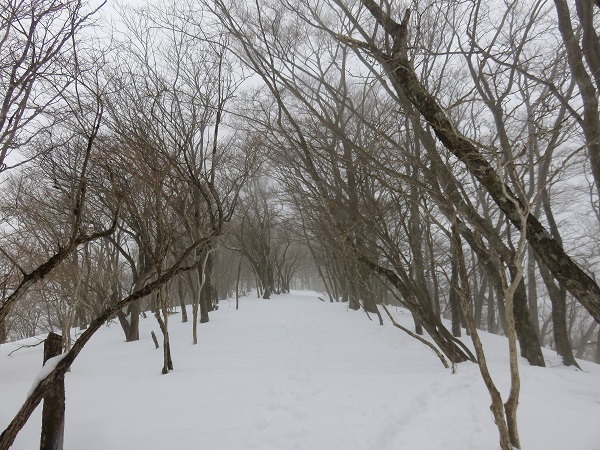 小丸尾根(訓練尾根)