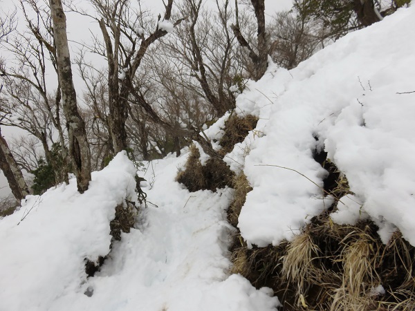 小丸尾根も雪