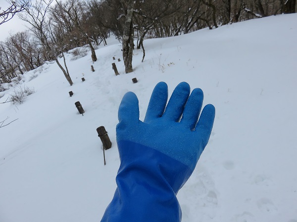 雪が積もった山テムレス防寒手袋