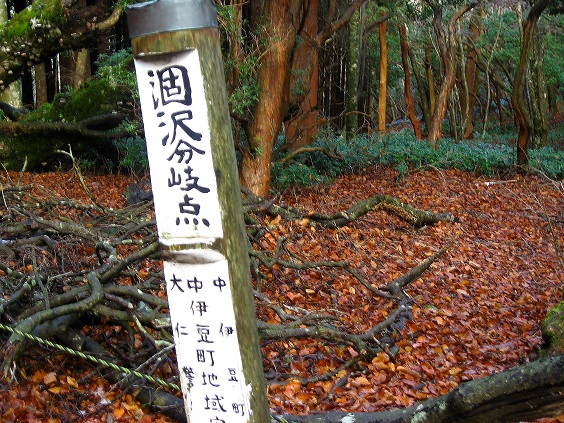 天城山万三郎岳涸沢分岐