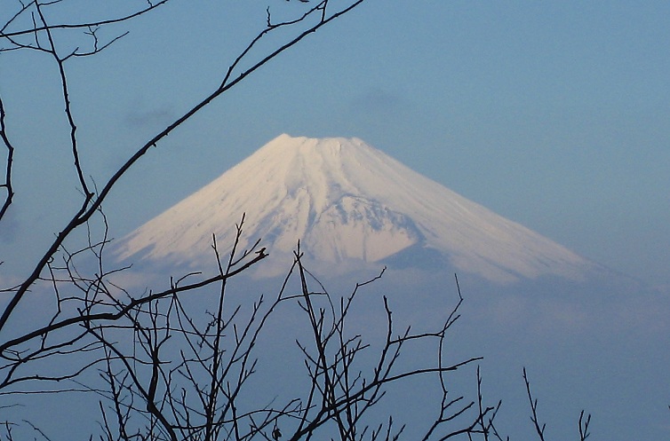天城山から富士山