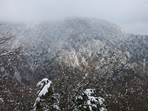 真っ白な丹沢山塊