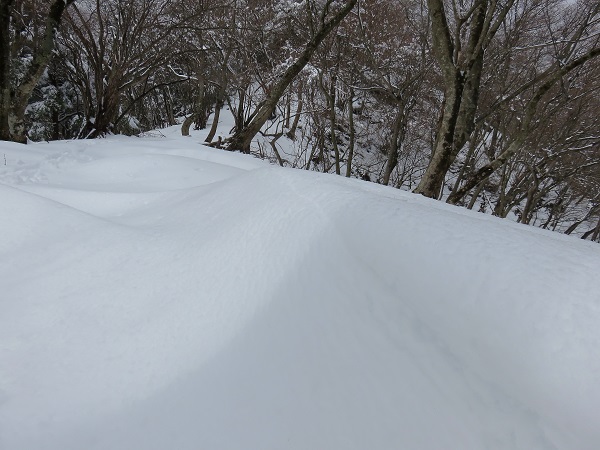 丹沢三峰自然の造形美