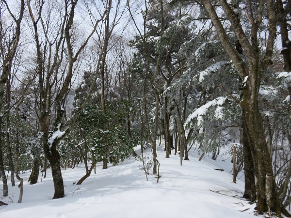 静かな雪の登山道を独り占め