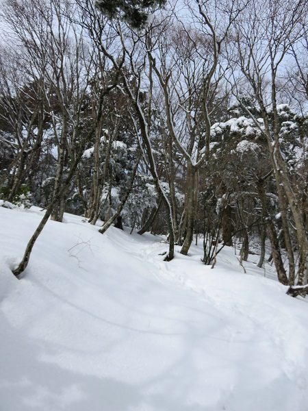 トレースとツボ足丹沢三峰