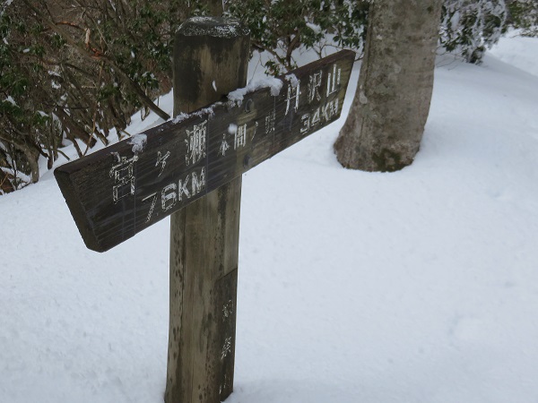 丹沢三峰の本間ノ頭(東峰）