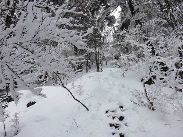 本間ノ頭から円山木頭・丹沢山を目指して縦走