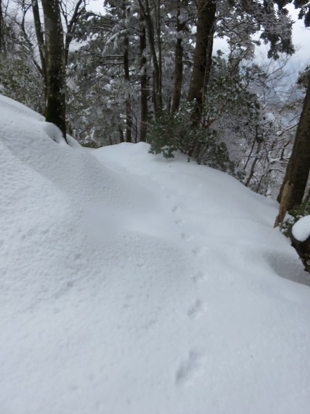 無名ノ頭ノートレース