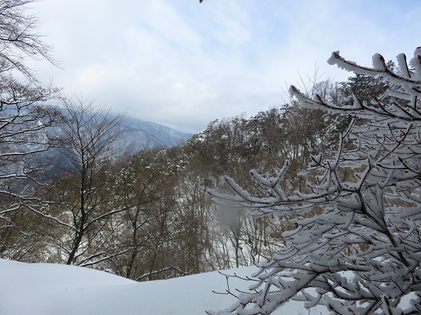 円山木頭・丹沢山を目指す場合、無名ノ頭の山頂から南西の尾根