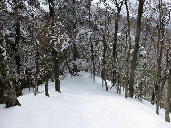 本間ノ頭から円山木ノ頭ラッセル地獄