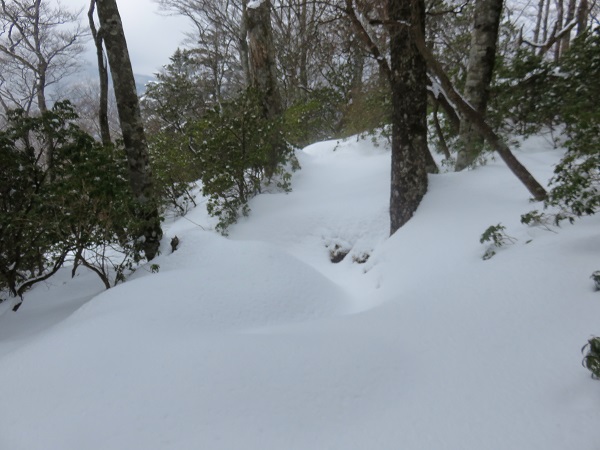 丹沢山（太礼ノ頭）へ至る登山道