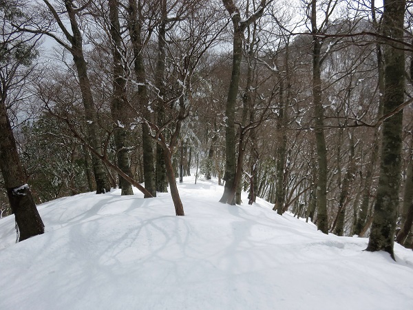 丹沢三峰の名前の通りアップダウンが激しいコース