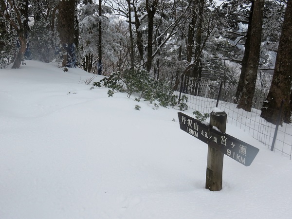 太礼ノ頭の道標を写真で撮った