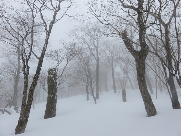 積雪期丹沢山