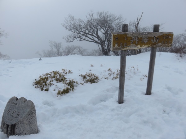 丹沢山の山頂