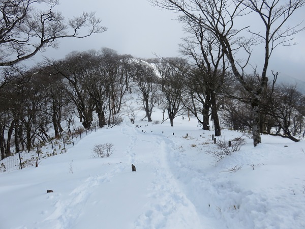 丹沢山トレースが明瞭で圧雪