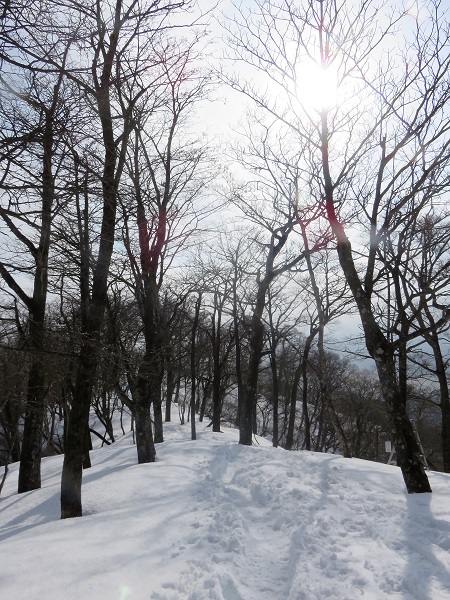 塔ノ岳から丹沢山縦走