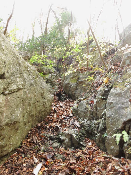 市原新道の取付き地点蛭ヶ岳登山口
