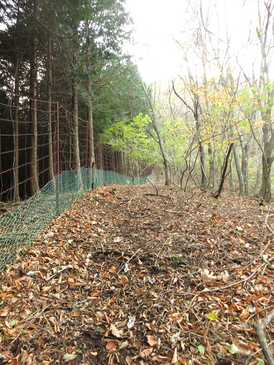 左手に柵（金網）無事に市原新道のコースを歩いている