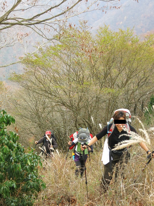 市原新道は、薄いですが踏み跡があり