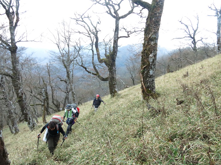 市原新道蛭ヶ岳に近づいてくる