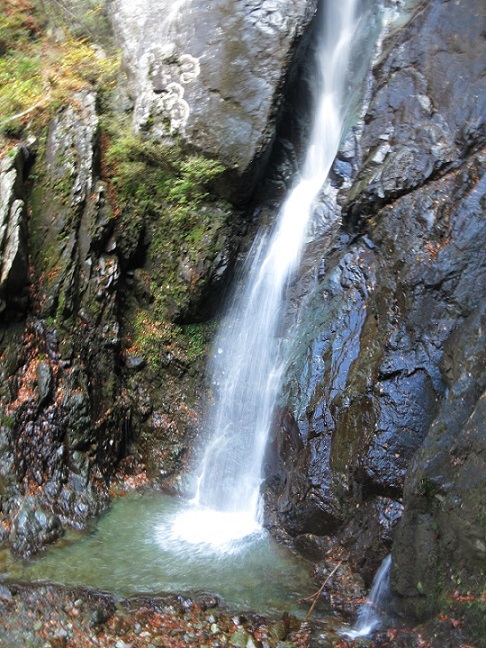 早戸大滝の滝壺周辺