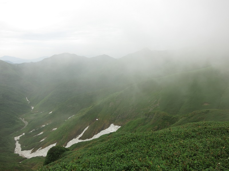 仙ノ倉山・平標山登山道クマが出てきそうな雰囲気