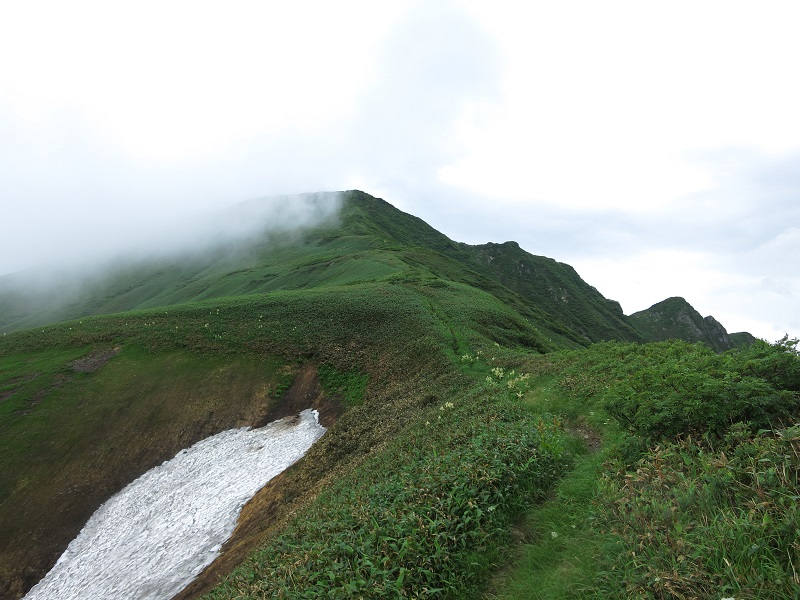 万太郎山まで草原の道