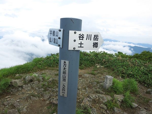 万太郎山の山頂