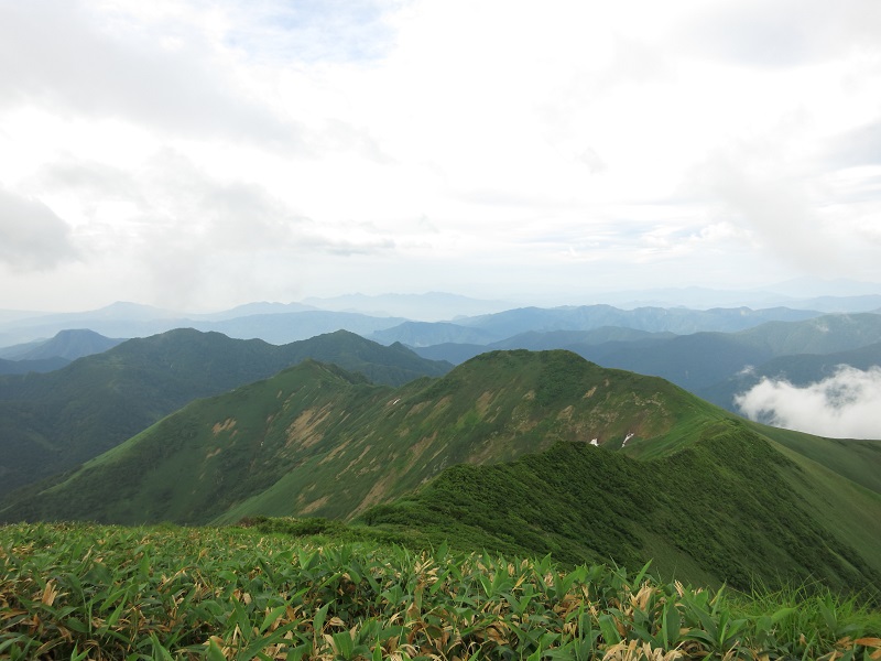 万太郎山の山頂から見る仙ノ倉山～平標山の稜線