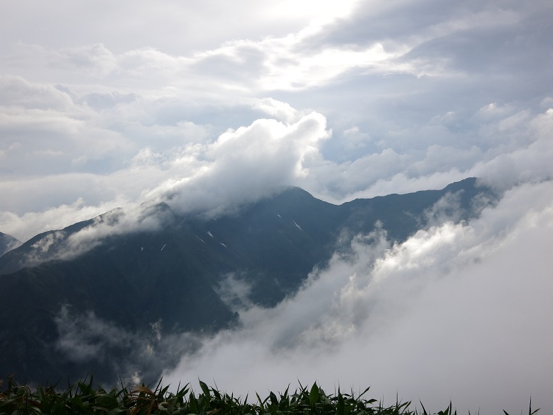 谷川の景色