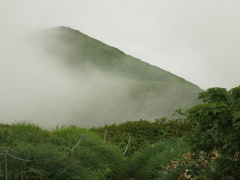 仙ノ倉山山頂から平標山遠望